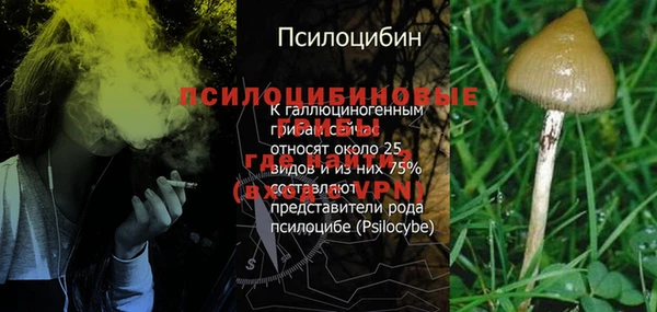 твердый Абаза