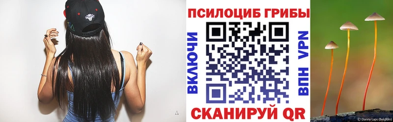 Псилоцибиновые грибы Psilocybe  Звенигород 