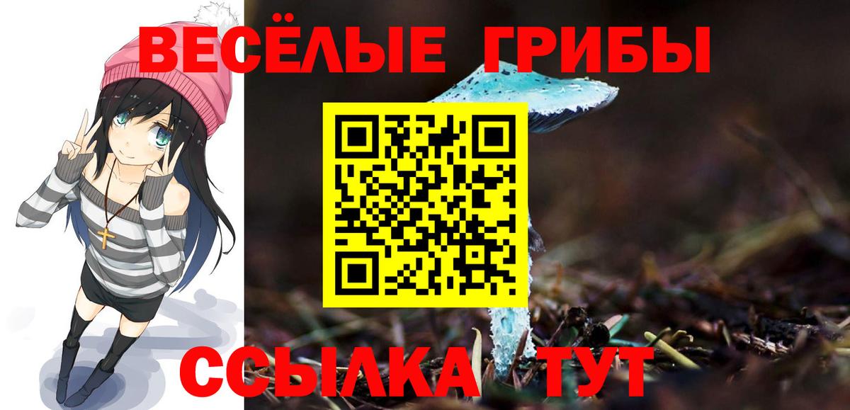 Галлюциногенные грибы прущие грибы  Галлюциногенные грибы GOLDEN TEACHER  Звенигород  Вход с VPN 
